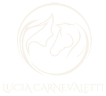 Lucia Carnevaletti responsive