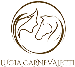 Lucia Carnevaletti responsiveretina