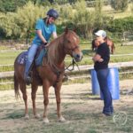 Essere Cavaliere non coincide con il saper montare bene, ma con il saper comprendere, ascoltare, rispettare profondamente il cavallo.